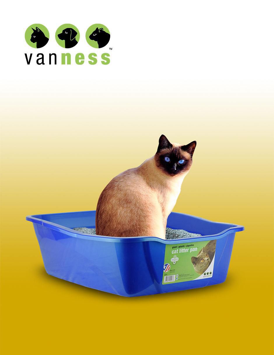 Arenero para gato 3