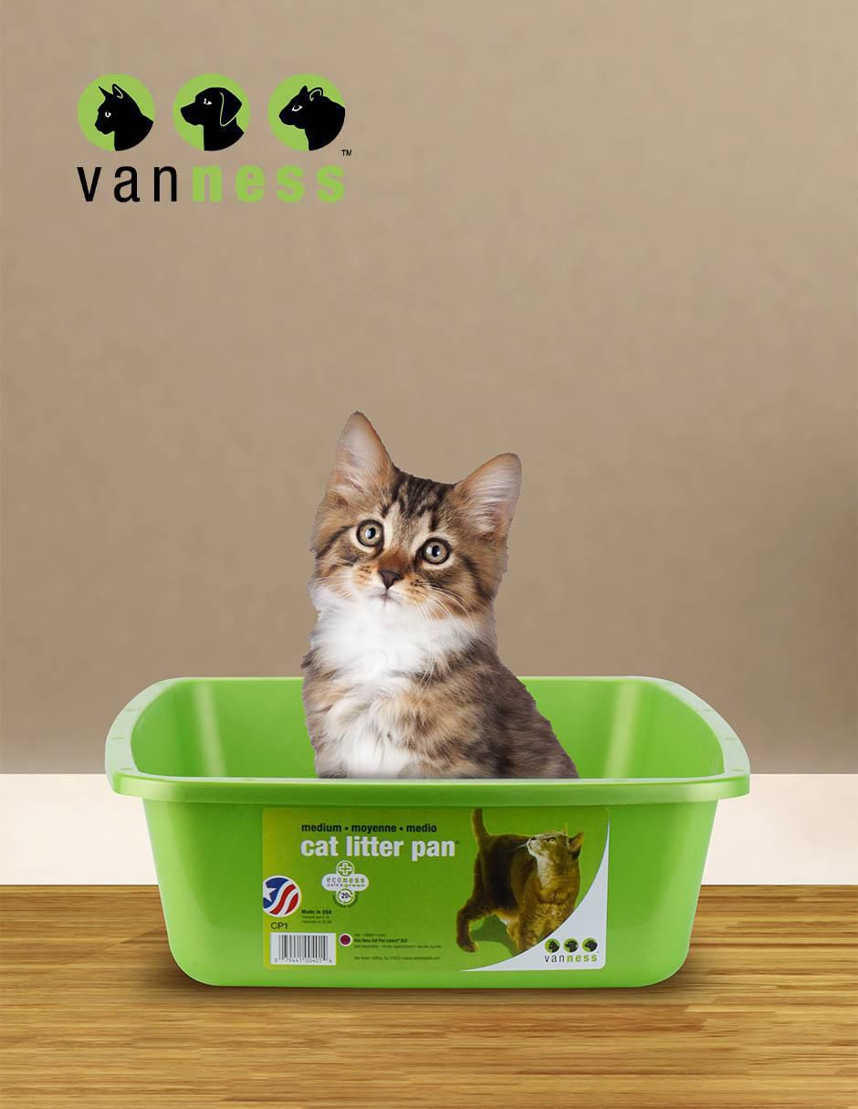 Arenero para gato 3