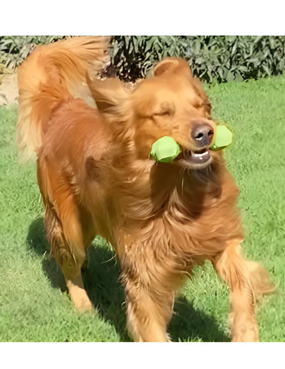 Juguete para perro 2