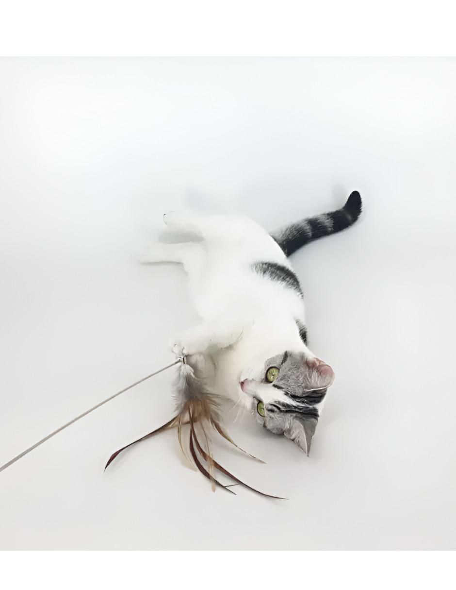 Juguete para gato 2