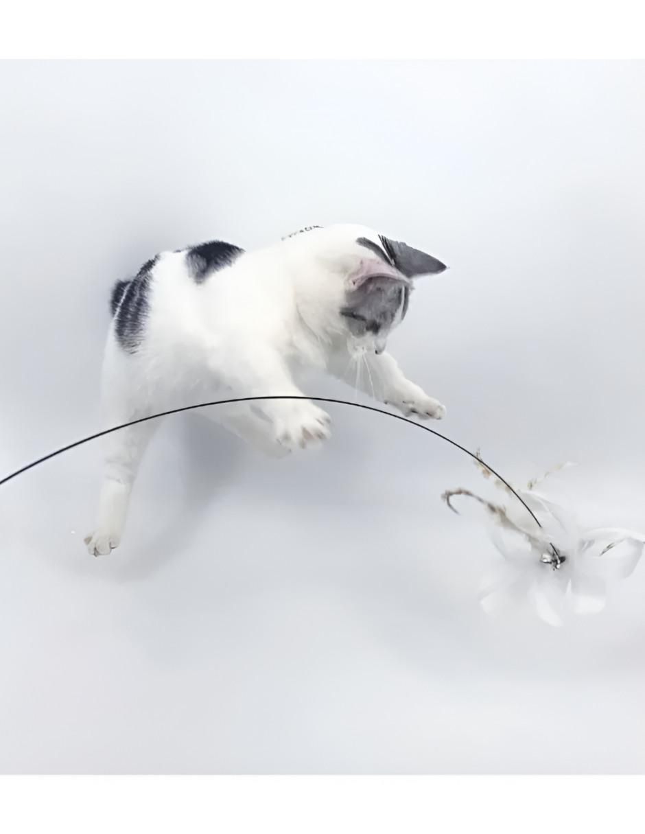 Juguete para gato 3