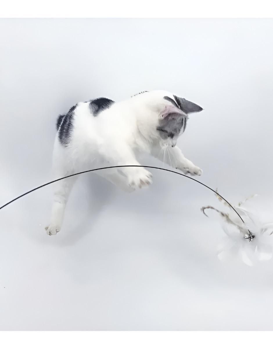 Juguete para gato 3