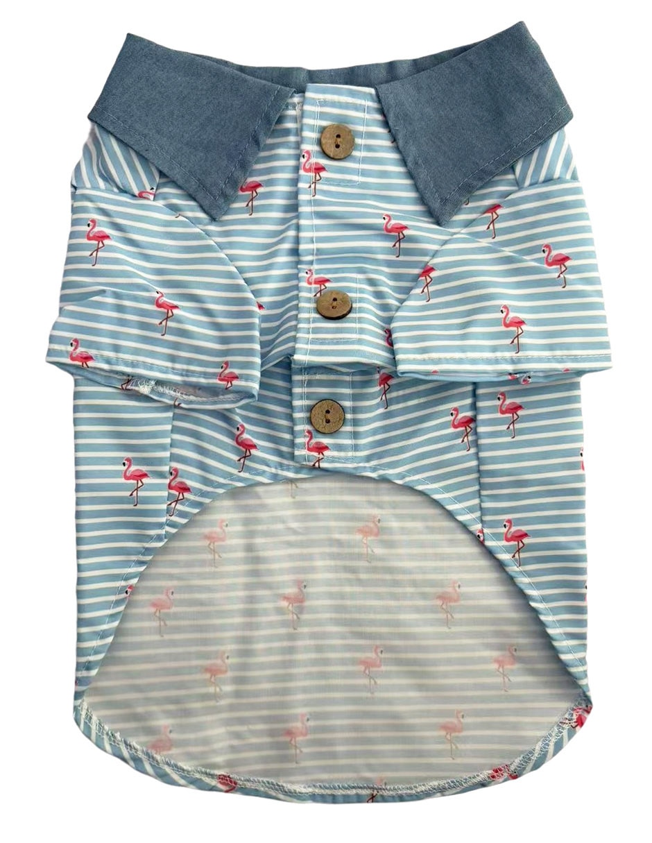 Playera para perro 2