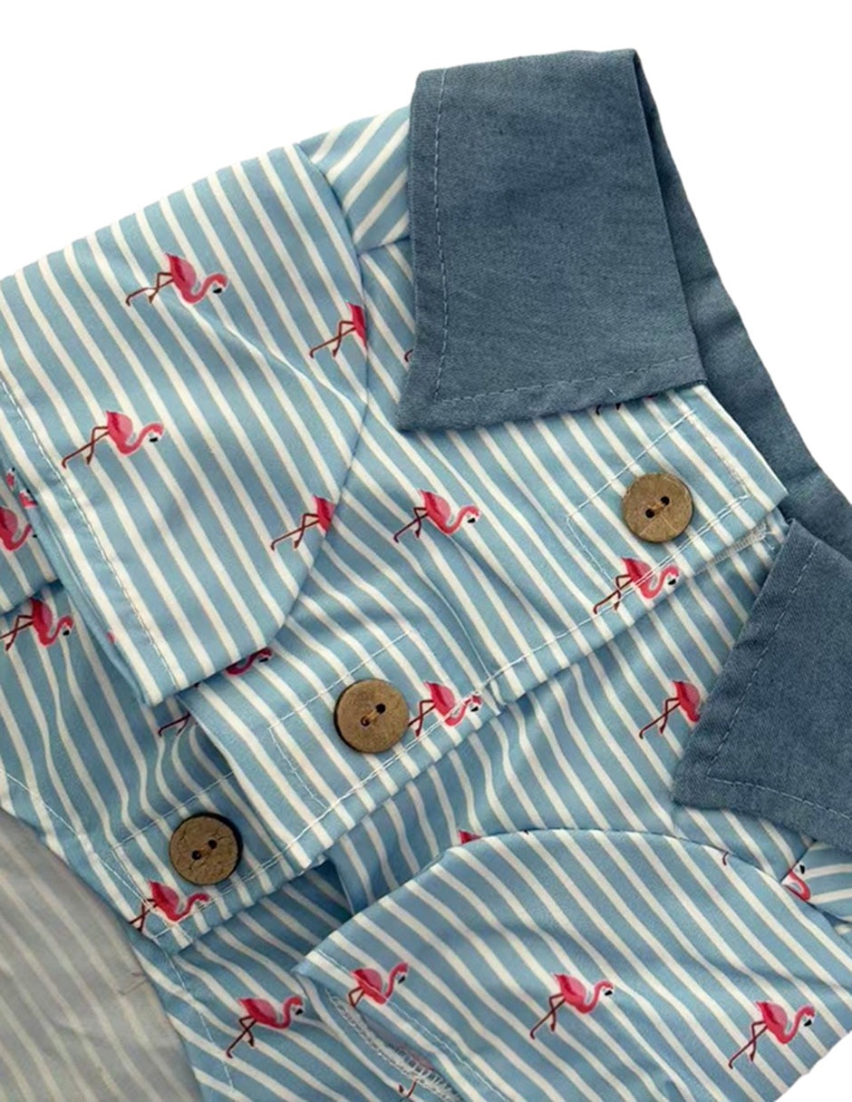 Playera para perro 3