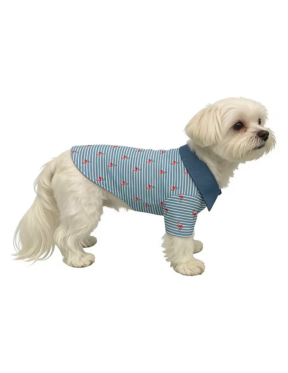 Playera para perro 5