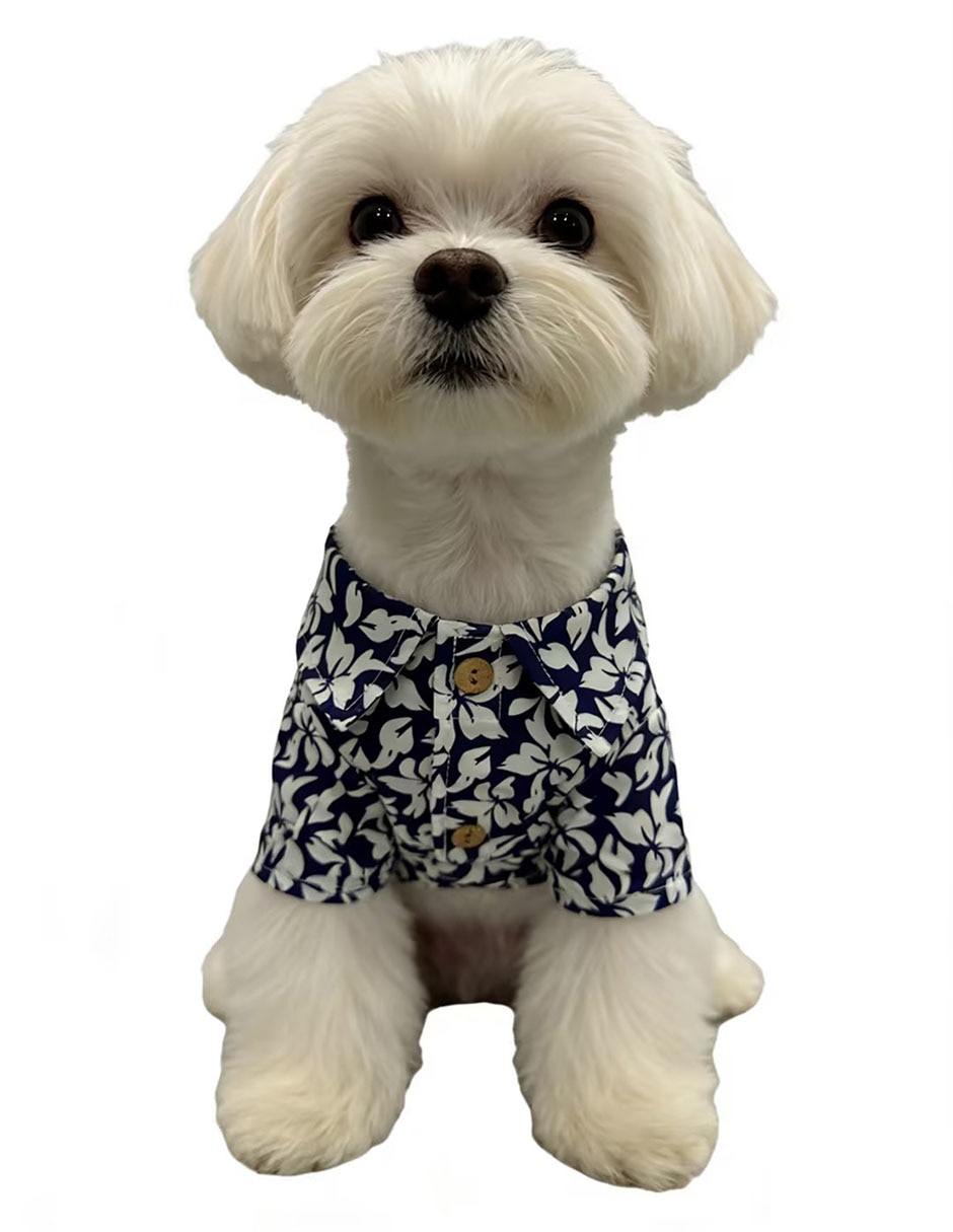 Playera para perro Semana Santa 5