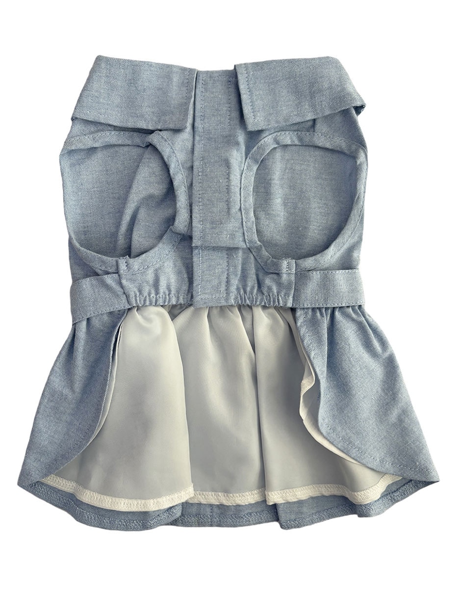 Vestido para perro 2