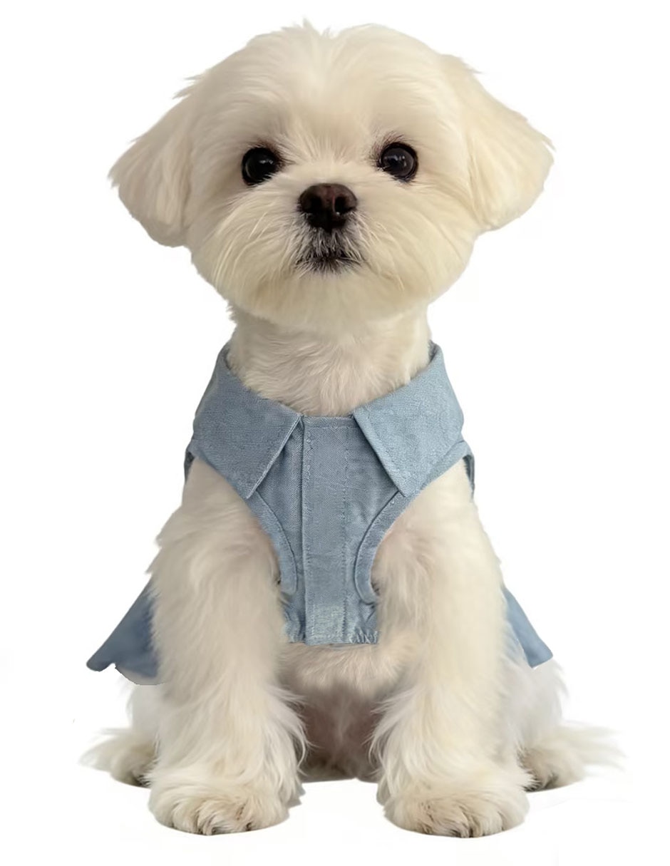Vestido para perro 4