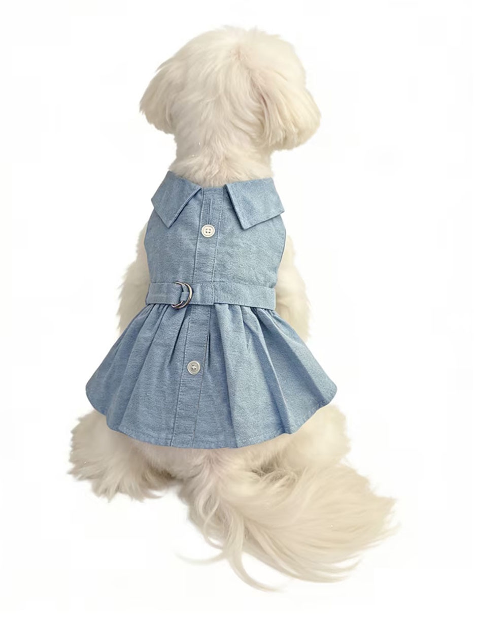 Vestido para perro 6
