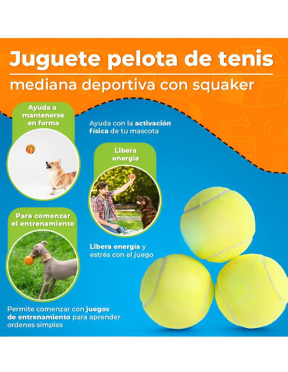 Paquete de pelotas para perro 2