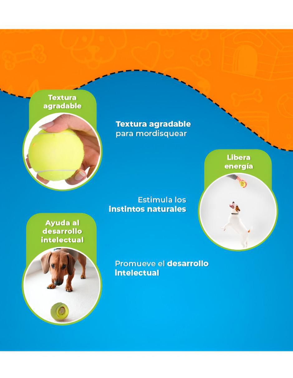 Paquete de pelotas para perro 3