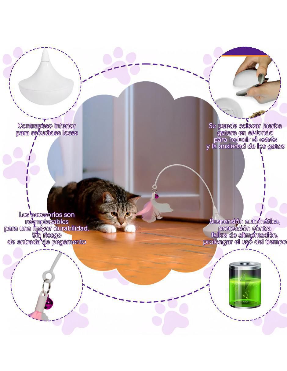 Kit de juguetes para gato 2