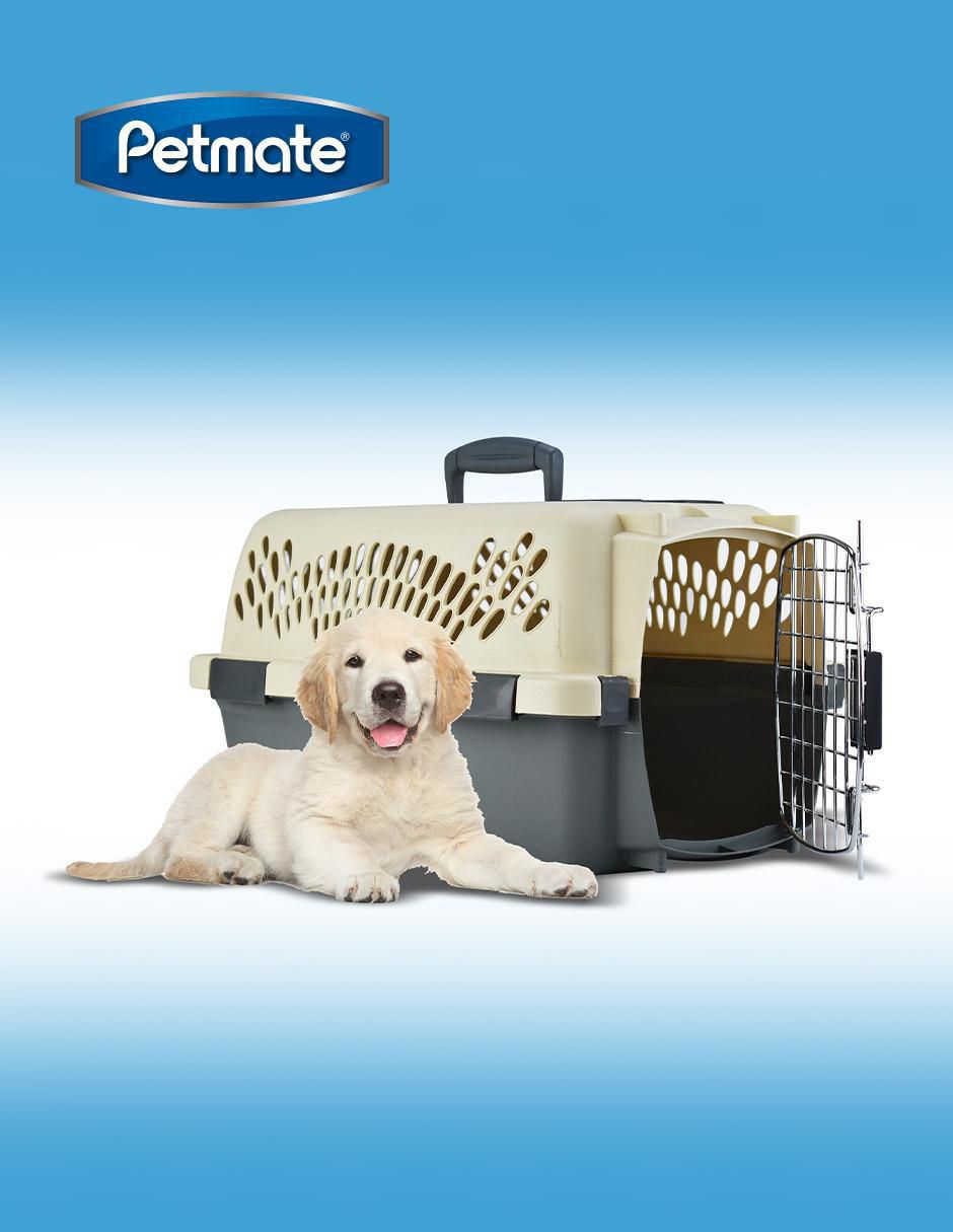 Transportadora para mascota 4
