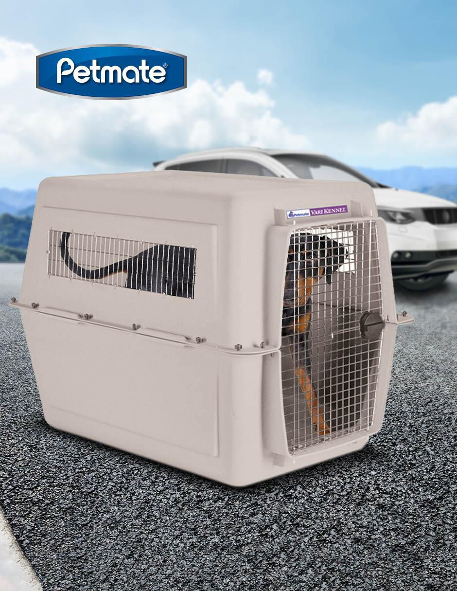 Transportadora para perro 2