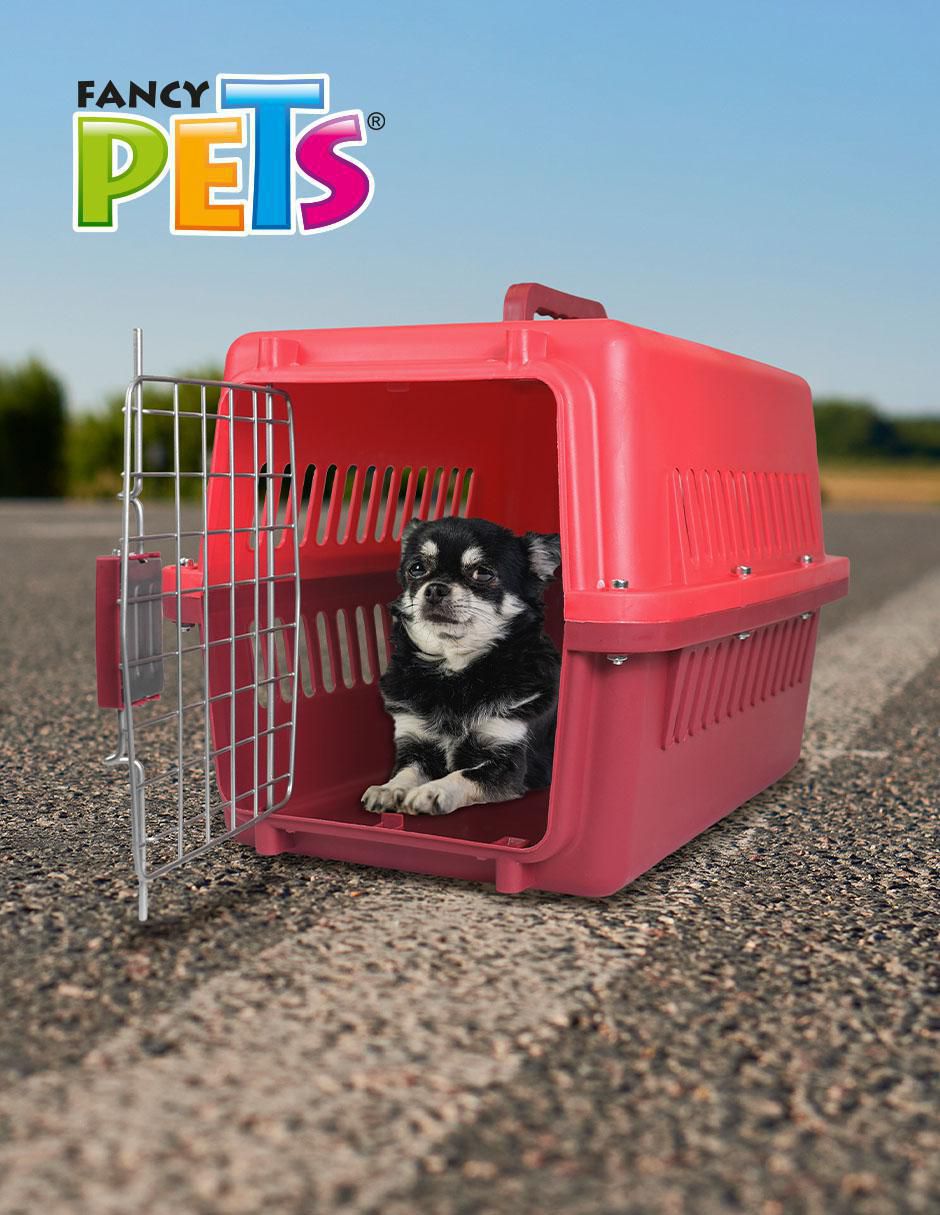 Transportadora para mascota 4