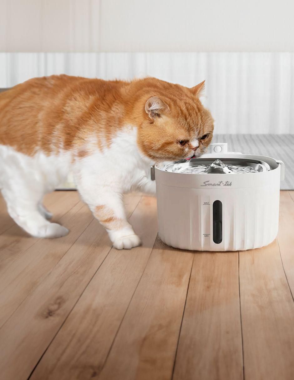 Bebedero transparente para perro y gato 2L 4