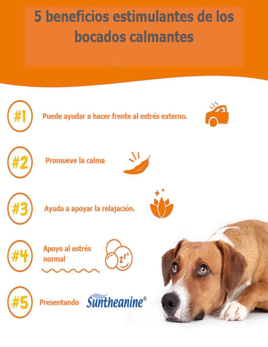 Suplemento alimenticio para mascota reducir estrés y ansiedad 3