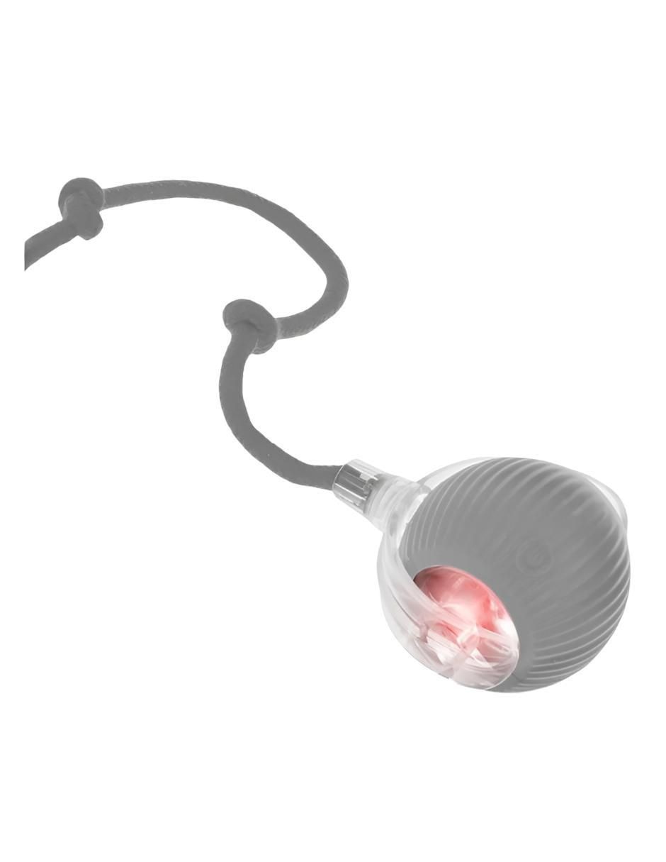 Pelota para gato perros y gatos Pelota para gato perros y gatos