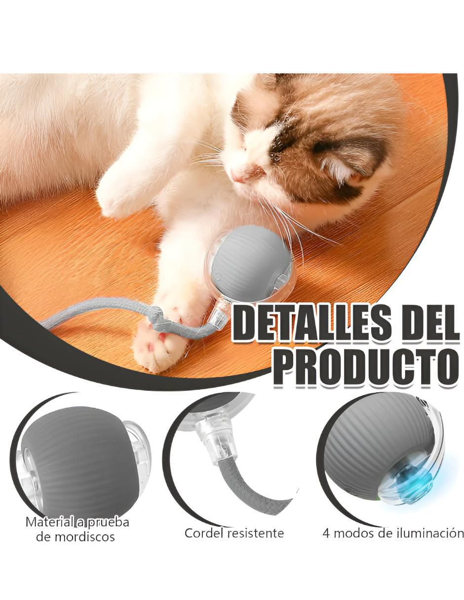 Pelota para gato perros y gatos 3