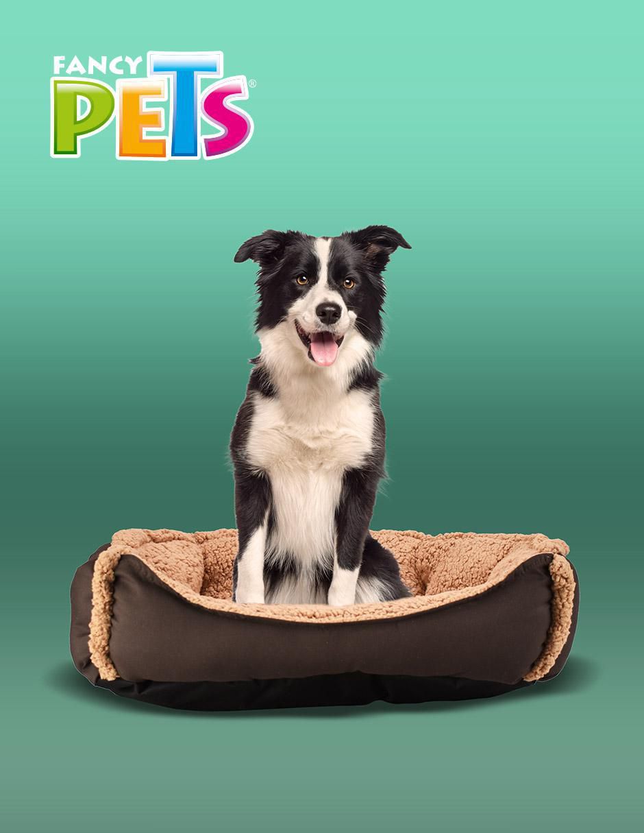 Cama para perro 4