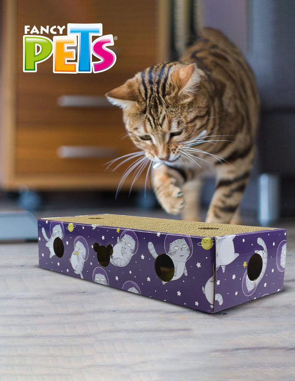 Rascador para gato 4