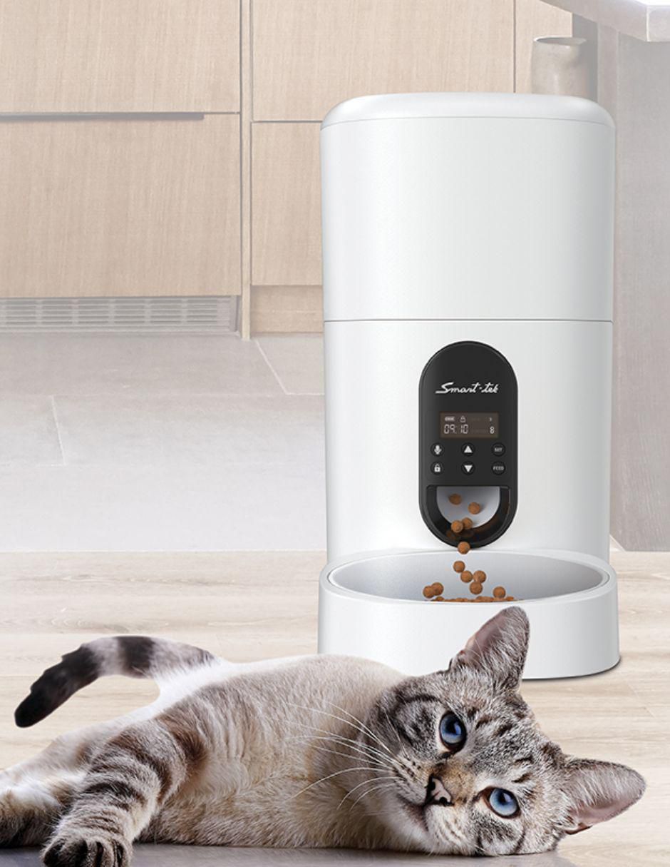 Alimentador automático para mascota 4