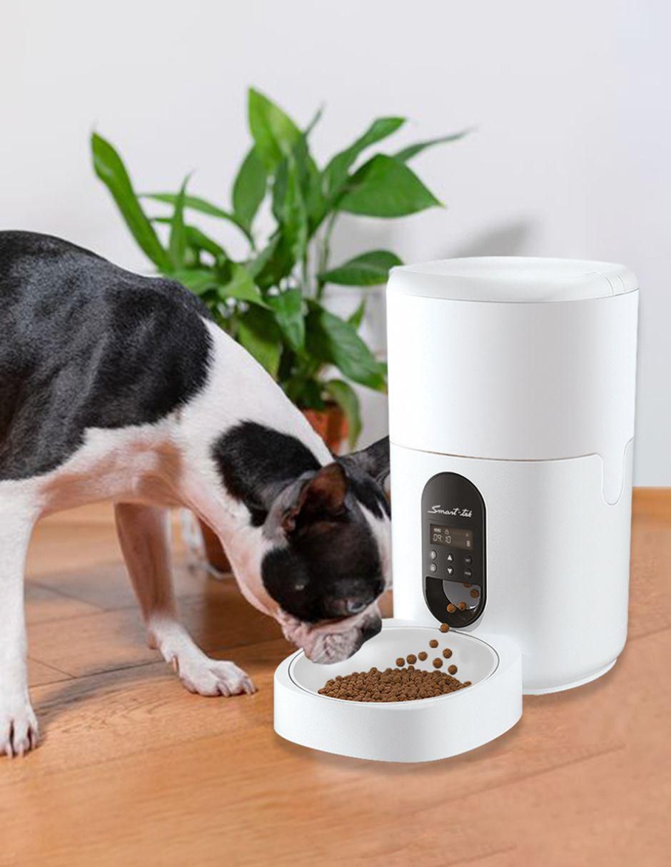 Alimentador automático para mascota 5