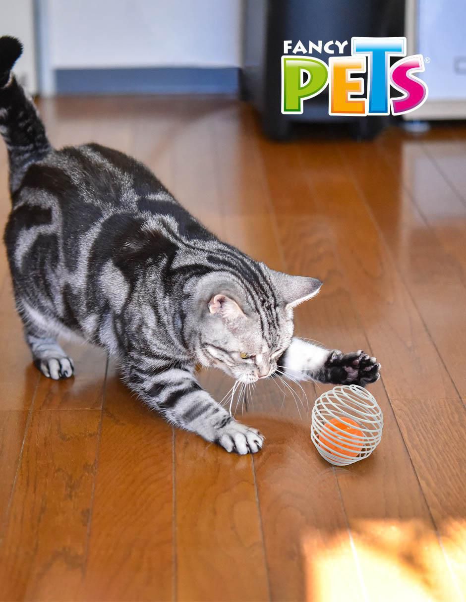 Juguete para gato 3