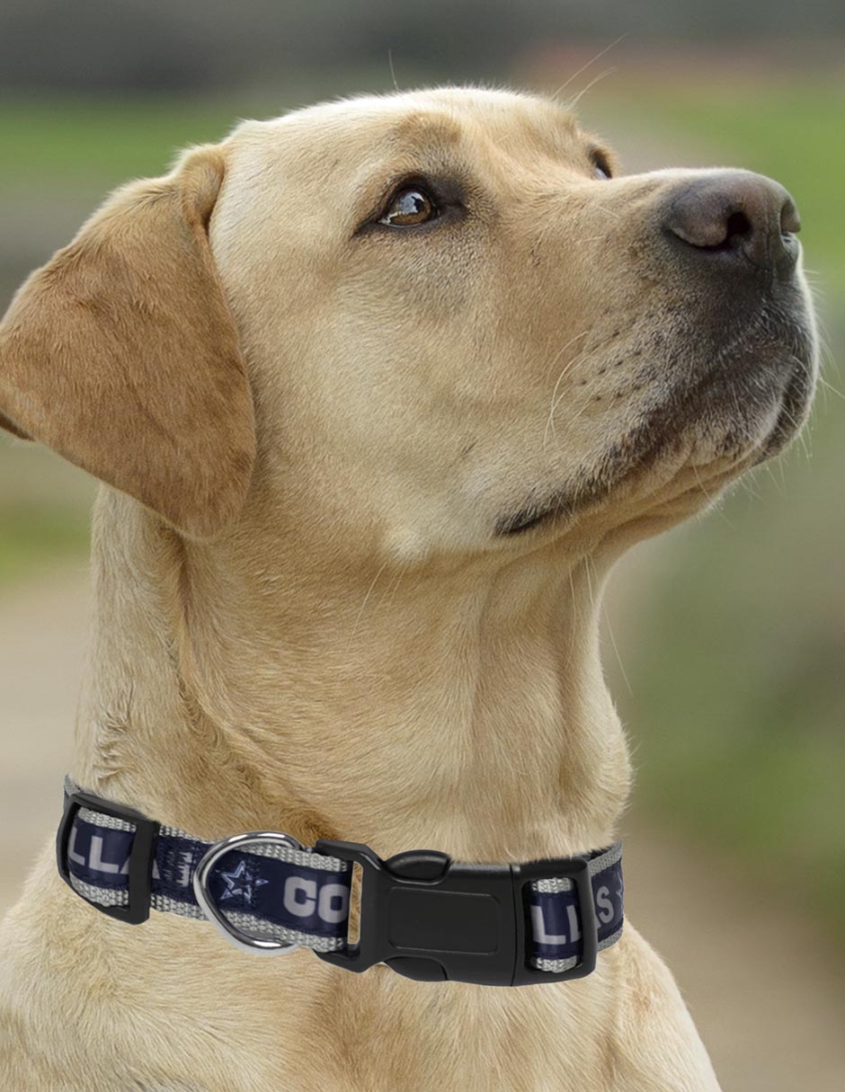 Collar para perro y gato 3