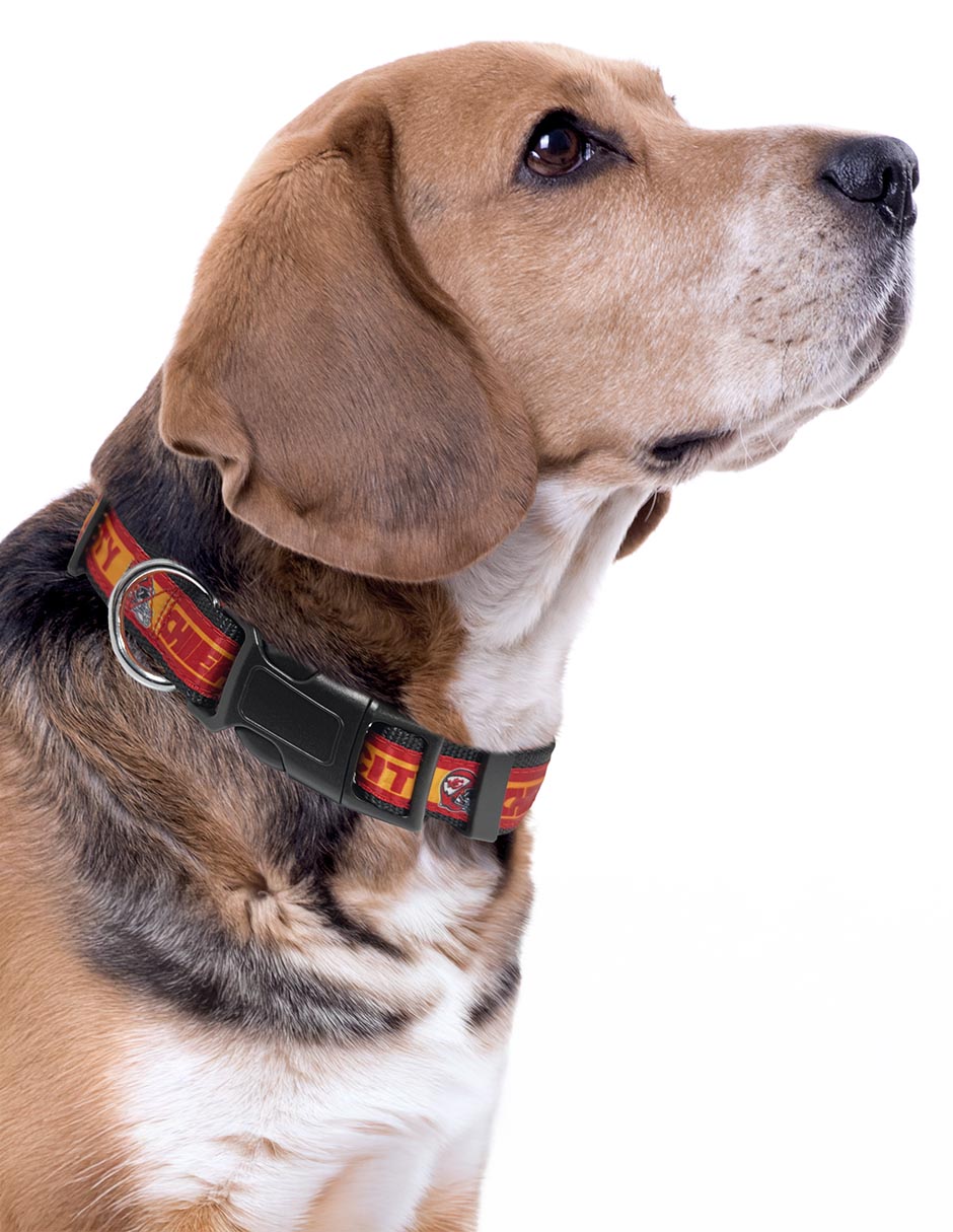 Collar para perro 3
