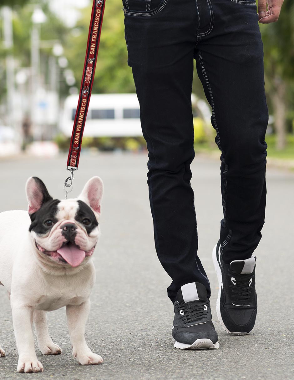 Correa para perro 2