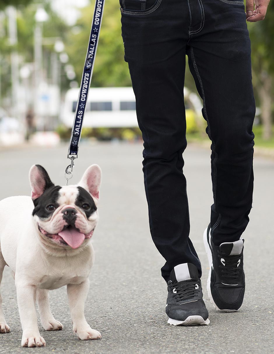 Correa para perro 2