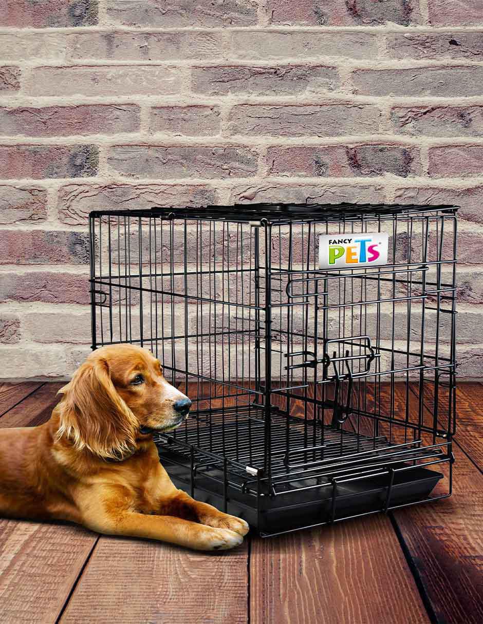 Jaula para perro de acero 3
