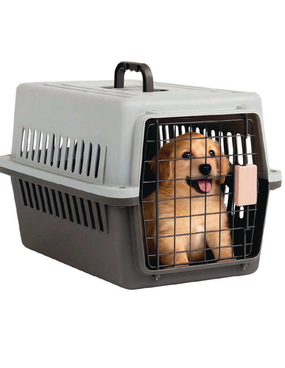Transportadora para perro