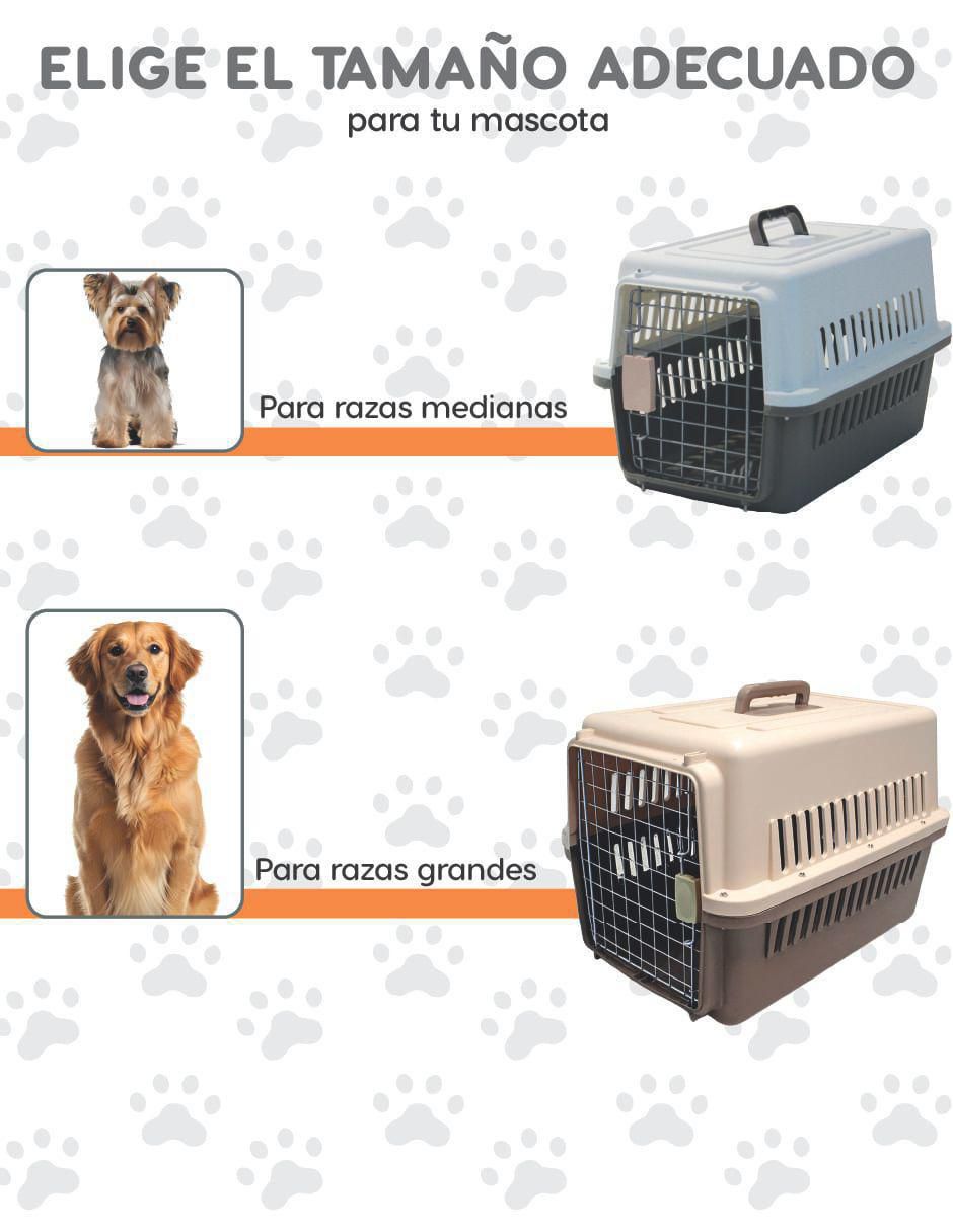 Transportadora para perro 4