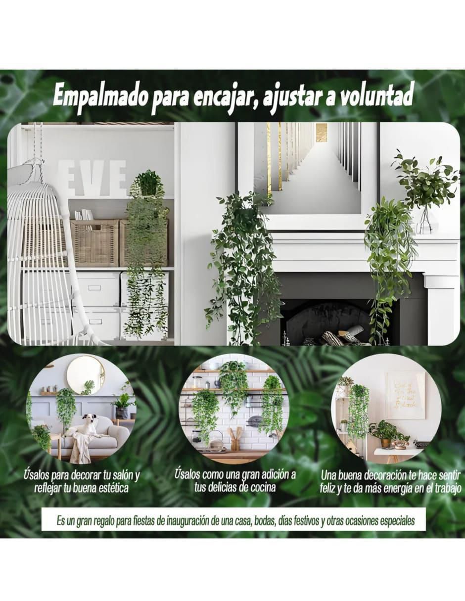 Planta colgante geranio natural 2