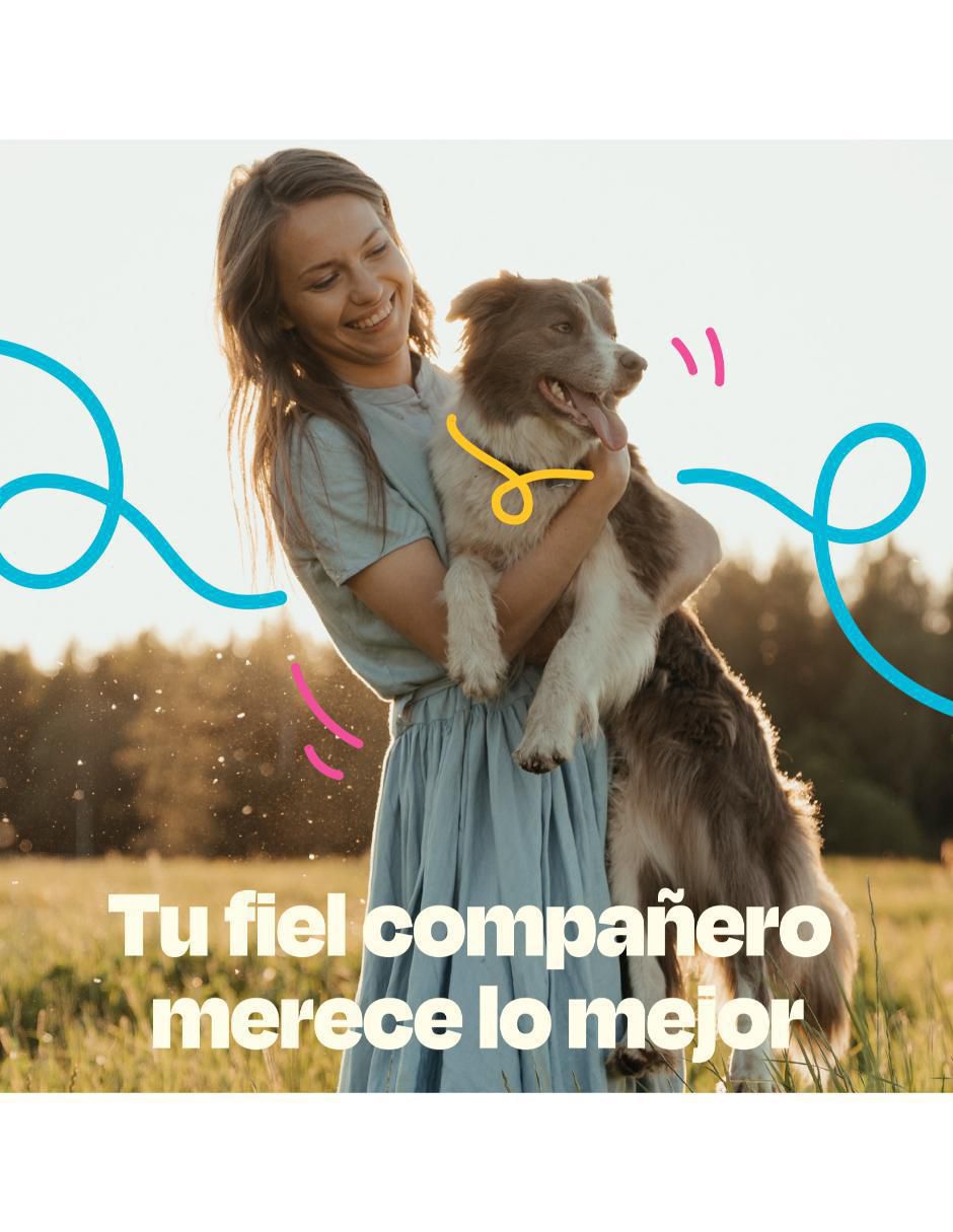 Calmante para mascota de carne para perro contenido 270 g 7