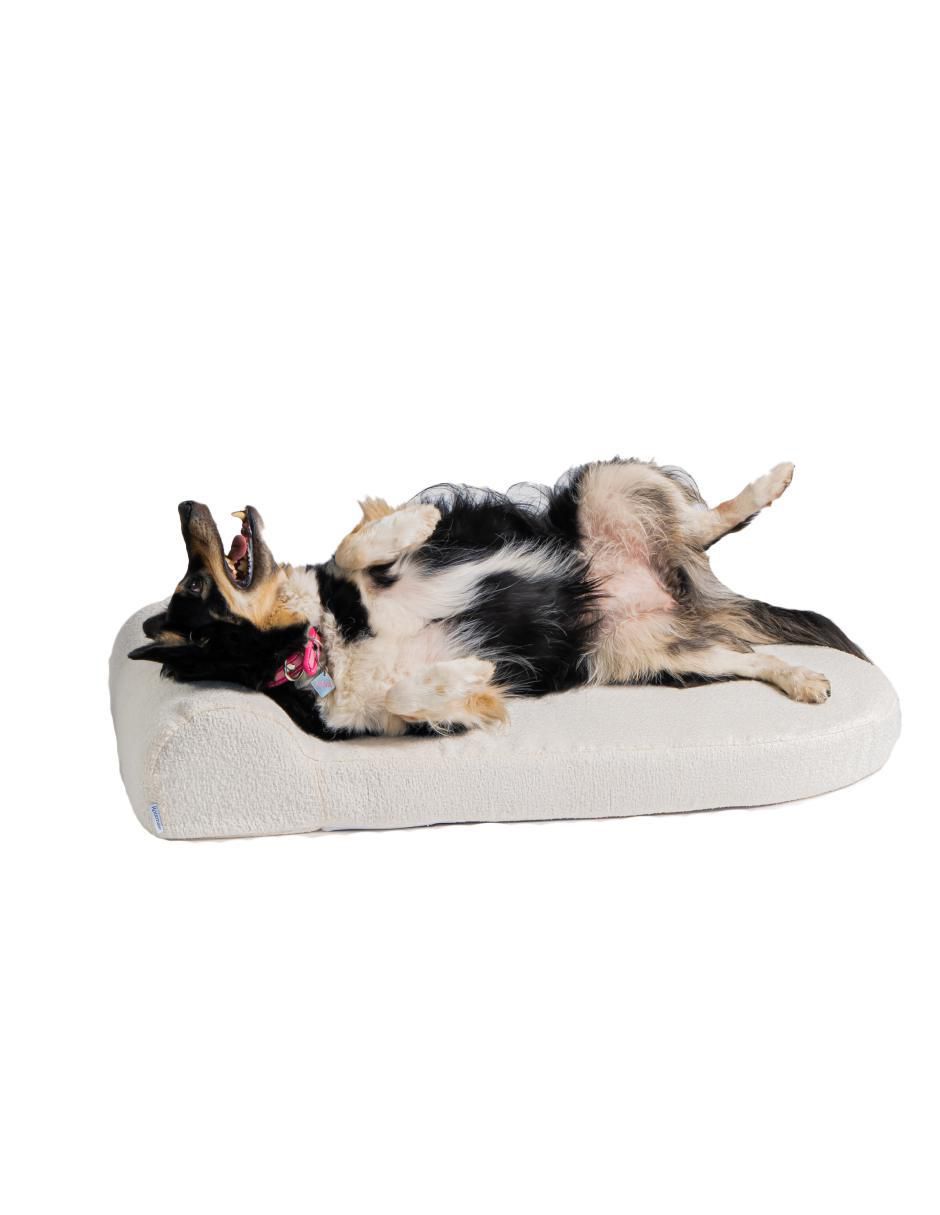 Cama para perro 3
