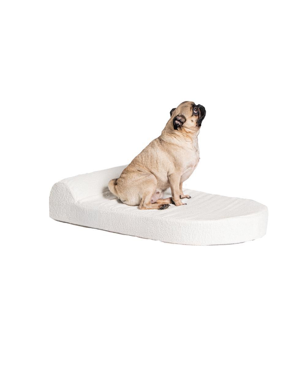 Cama "para" perro rootmate