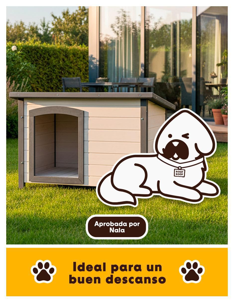 "casa para" perro roof roof