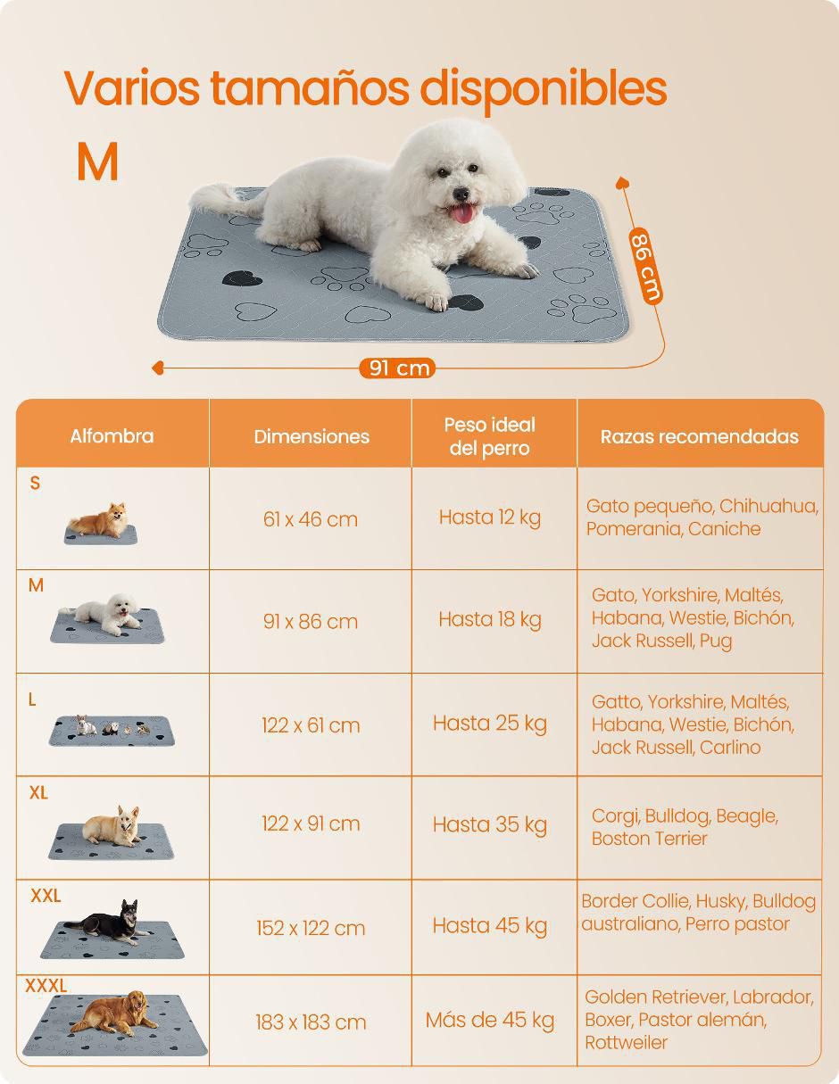 Tapete entrenador para perro 2