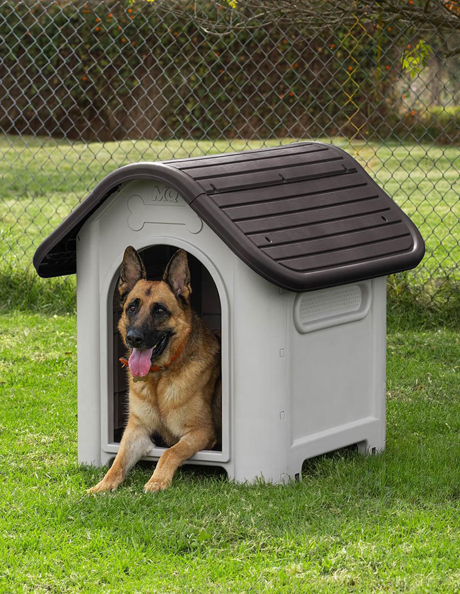 Casa para perro 4
