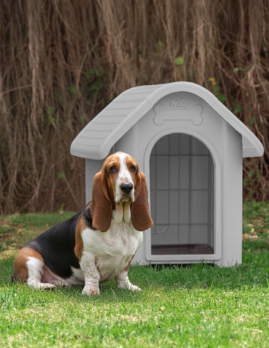 Casa para perro 4