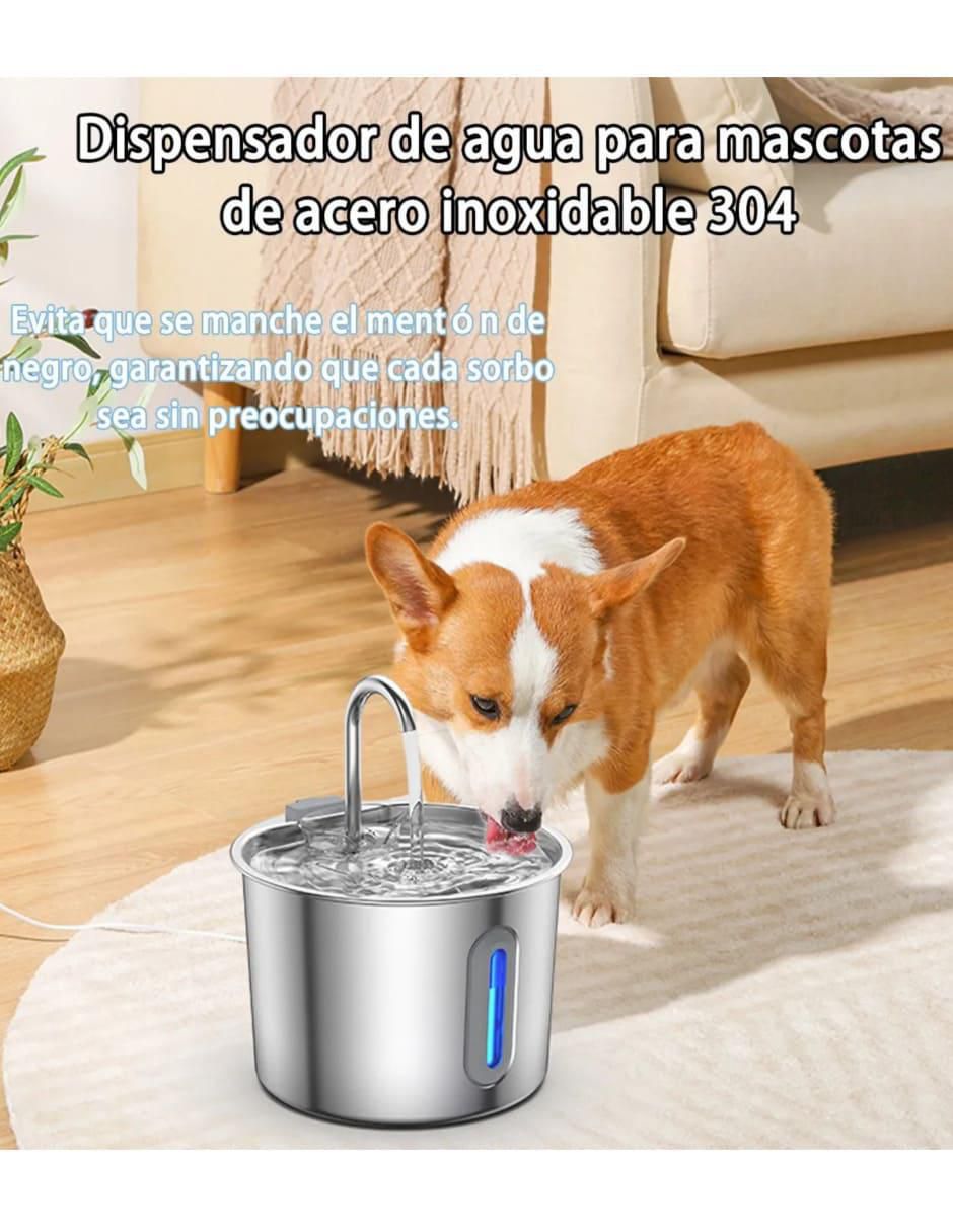 Bebedero transparente para perro y gato 2 L 4