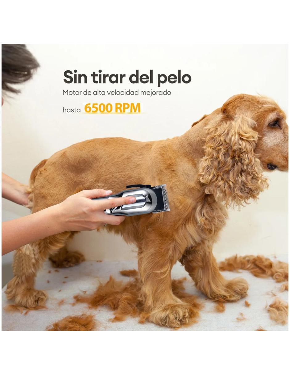 Rasuradora para perro 2