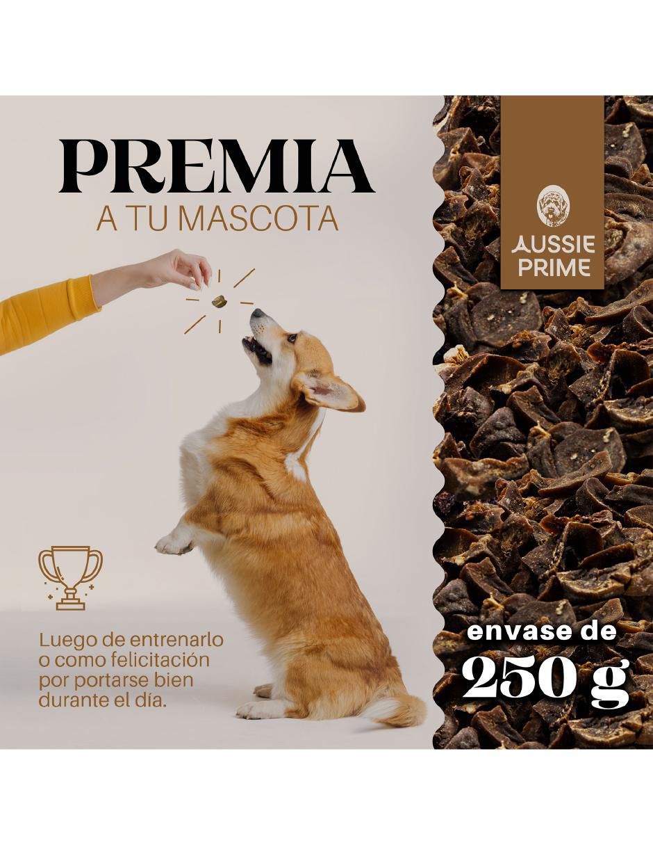 Premio de cerdo para perro contenido 250 g 5