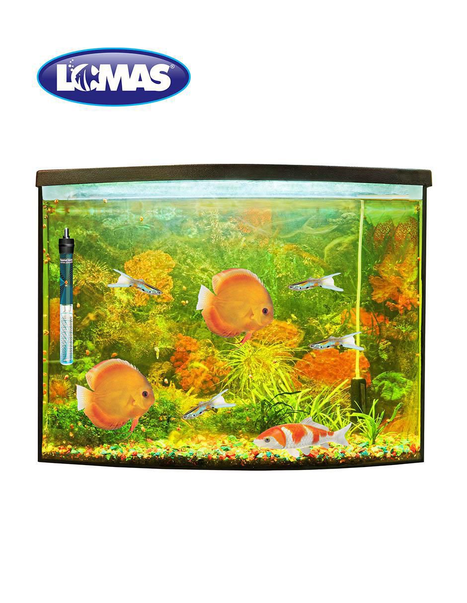 Calentador para pecera de 250 w 3