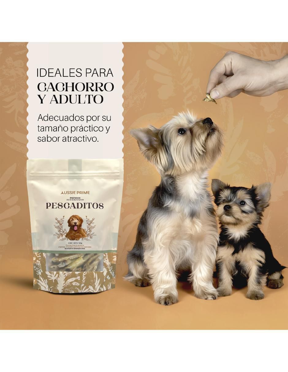 Premio de salmón para perro contenido  bolsa de 100 g 4