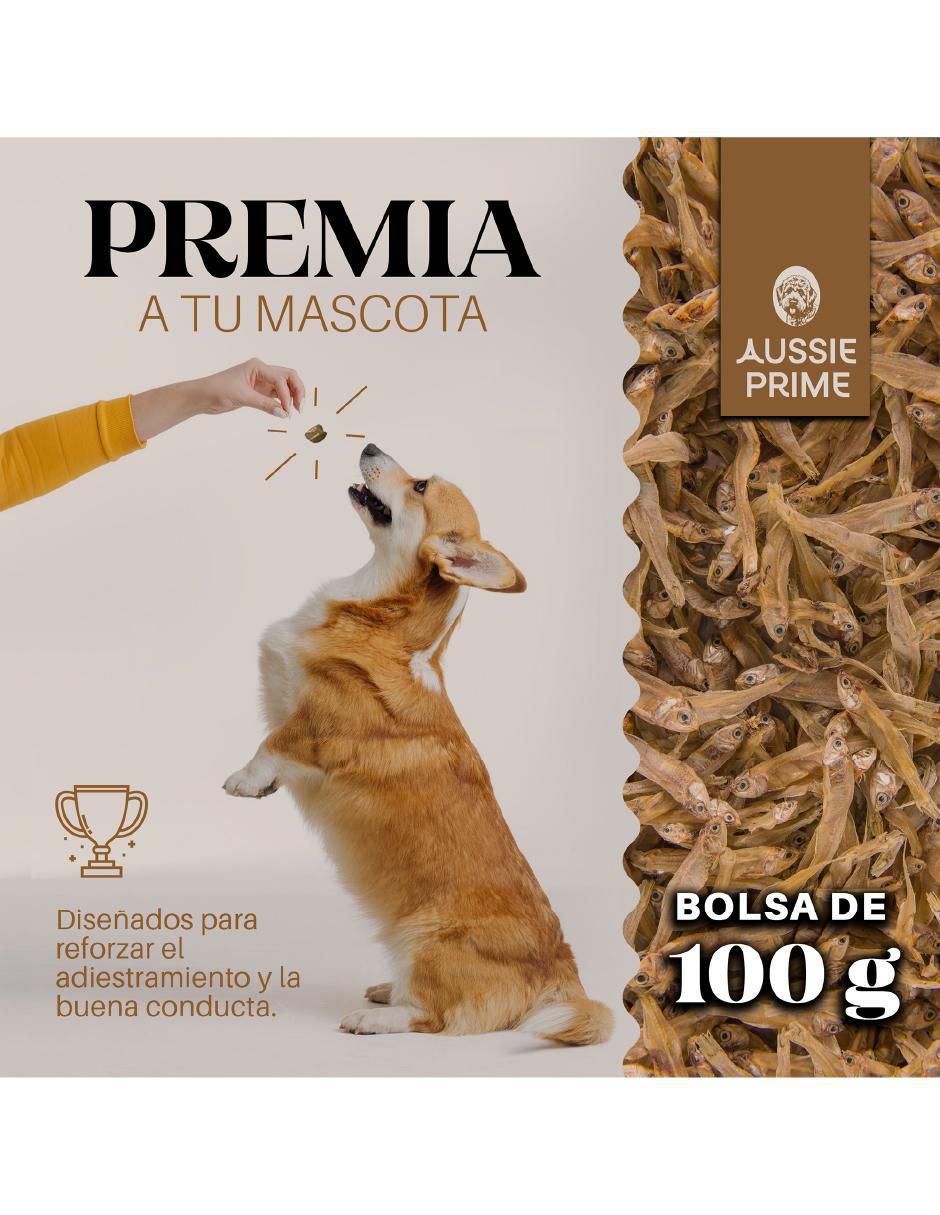 Premio de salmón para perro contenido  bolsa de 100 g 5