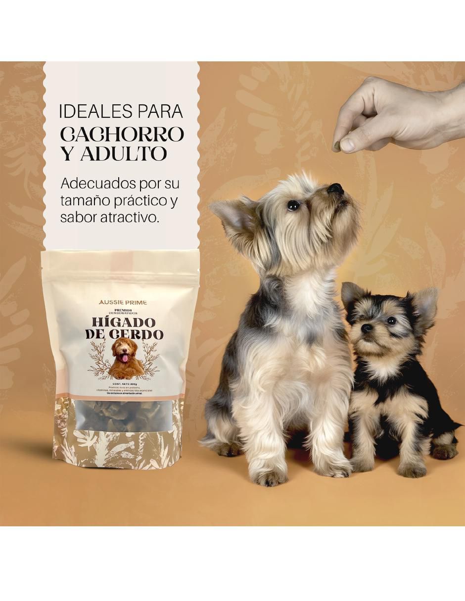 Premio de carne para perro contenido bolsa de 300 g 4